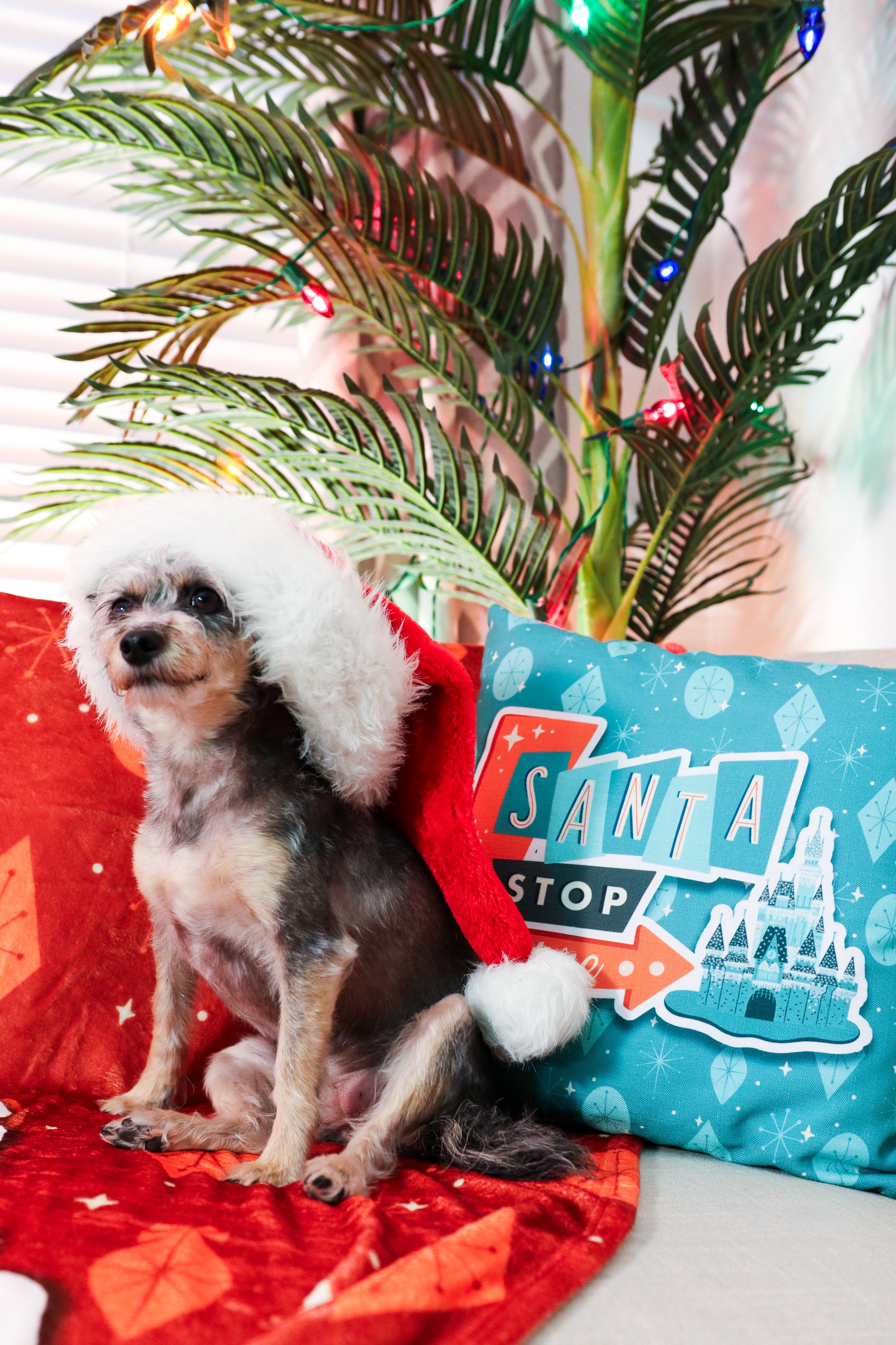Santa Stop Here Throw Pillow - Park Candy
