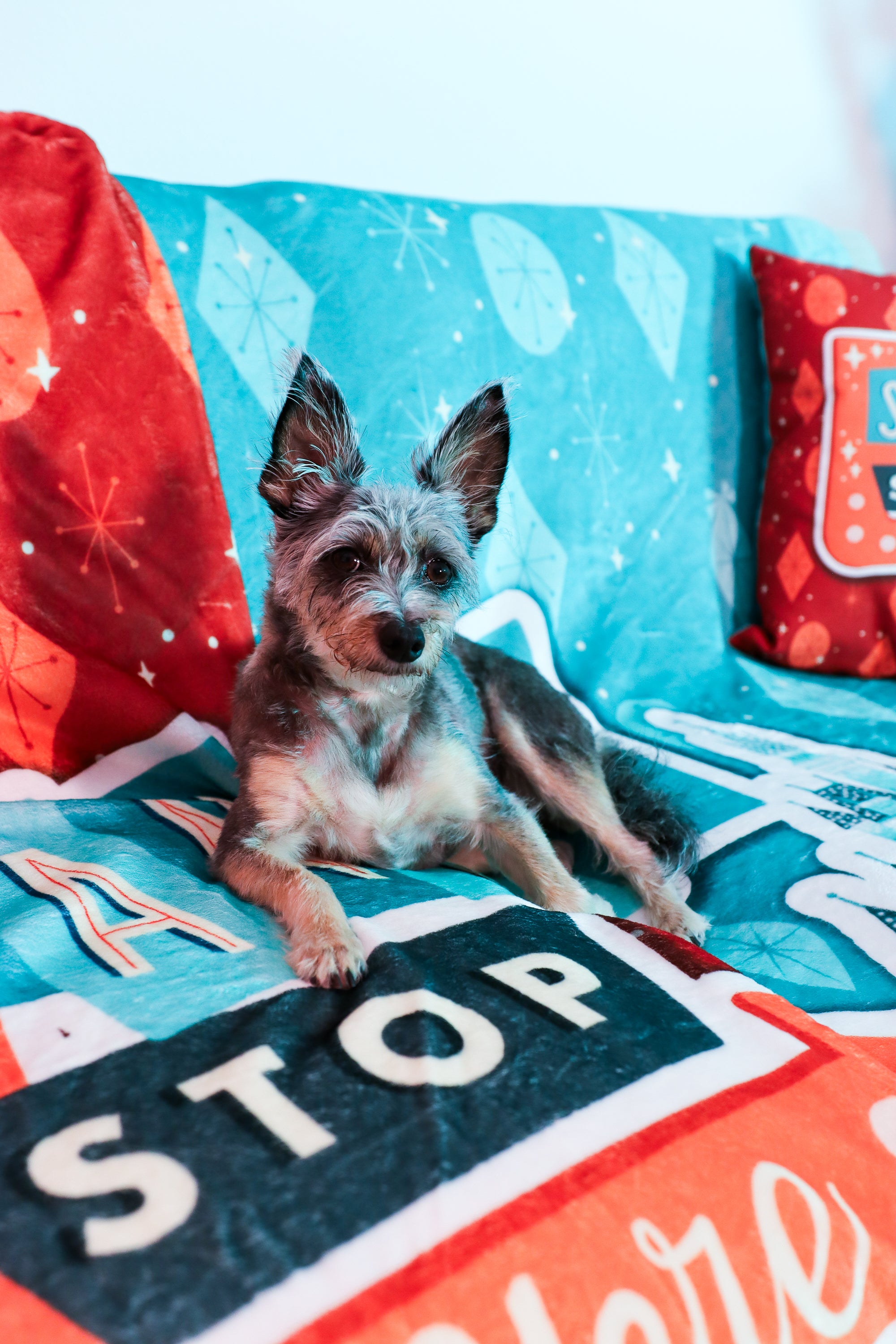 Santa Stop Here Minky Fleece Blanket - Park Candy